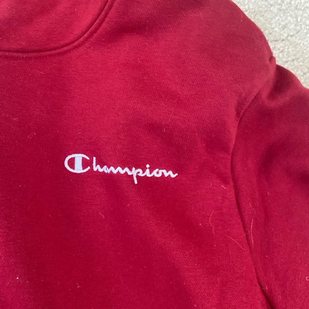 Champion hoodie